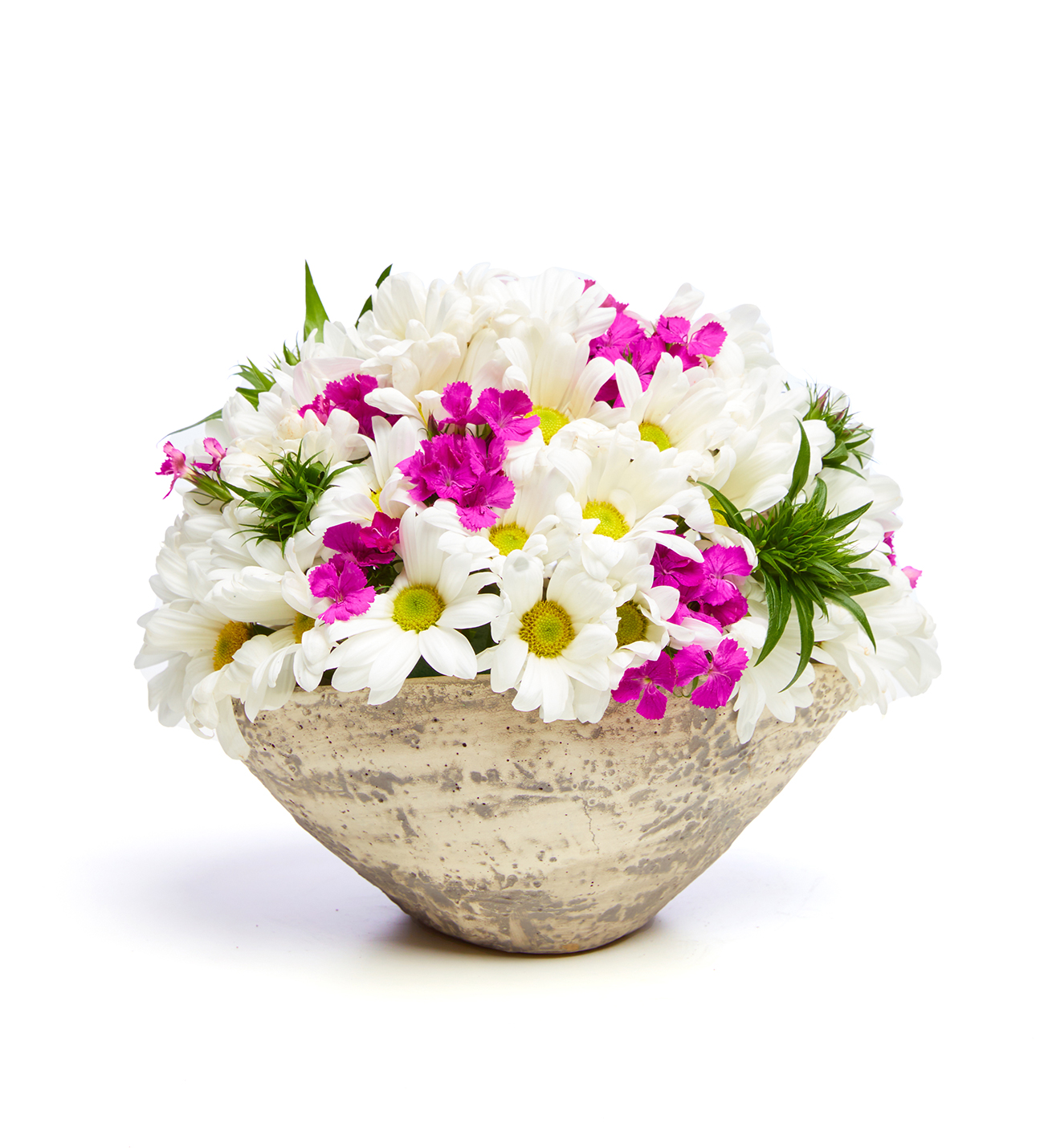 Eskitme Saksıda Papatya Tasarımı