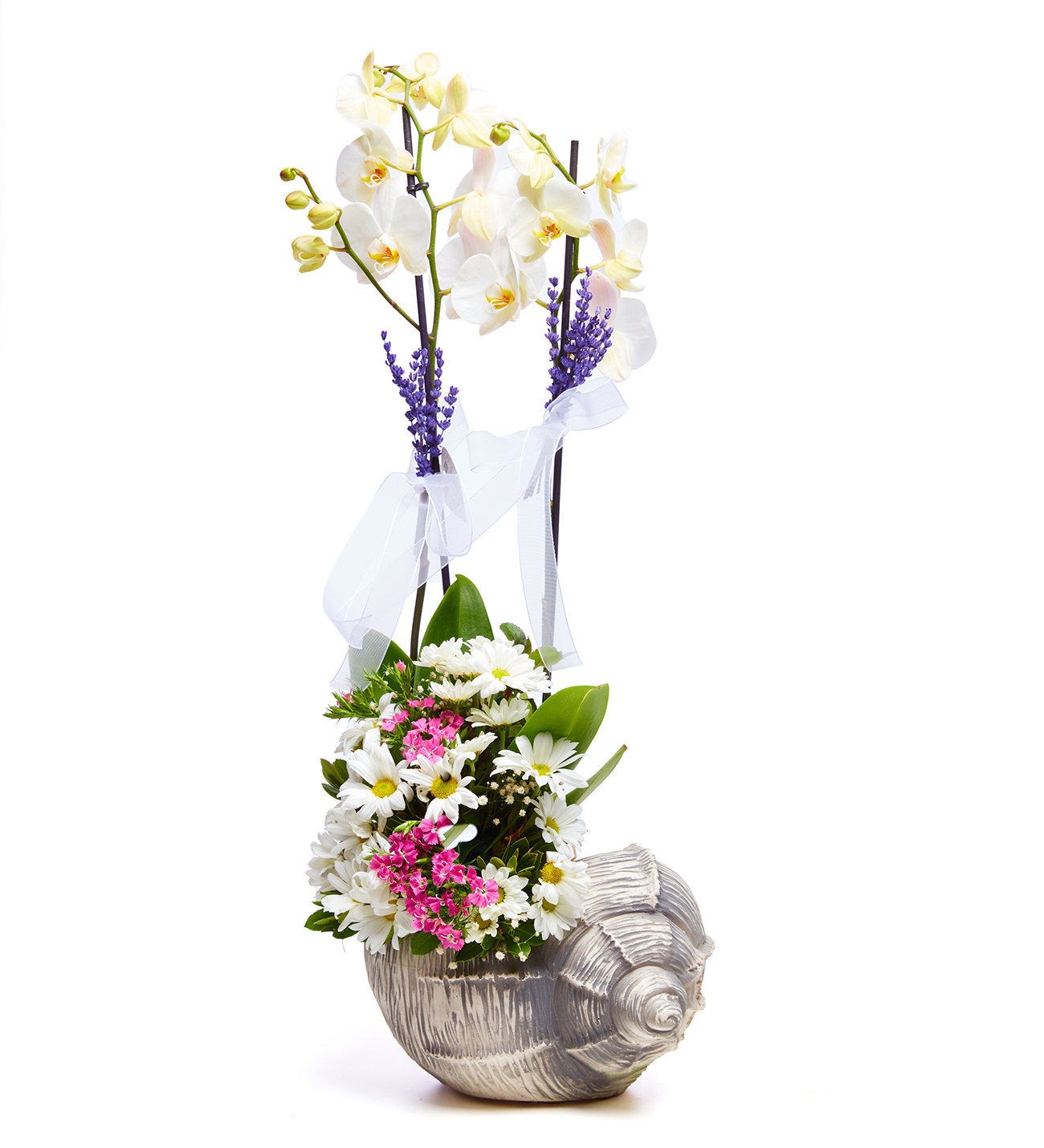 Tasarım Çift Dal Beyaz Orkide