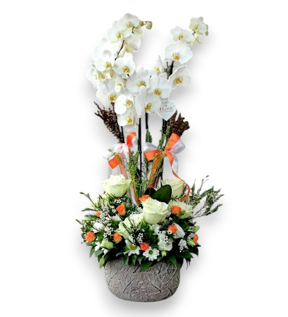 Beyaz Orkide Ve Çardak Güller