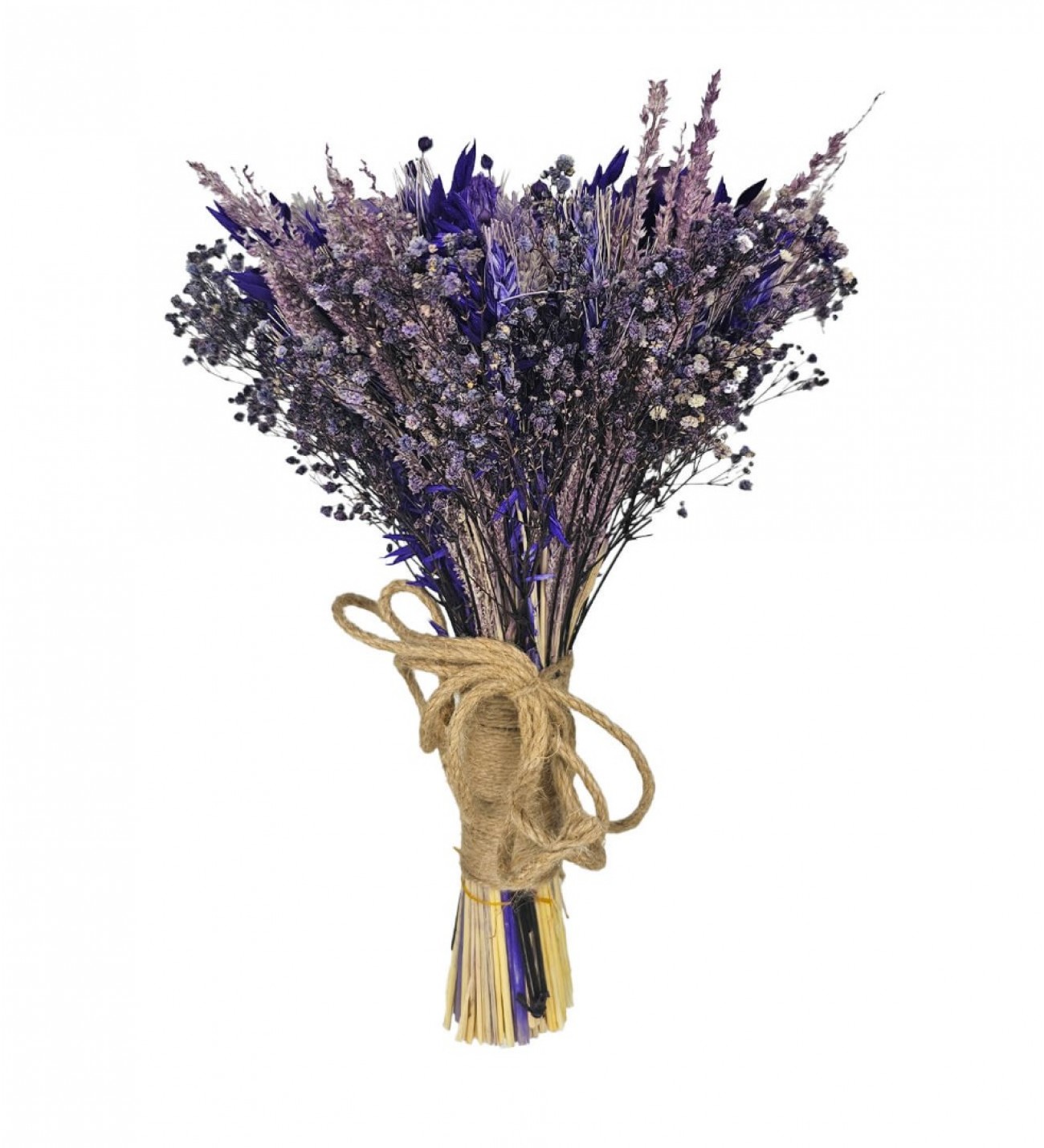 Gelin Çiçeği Lavanta