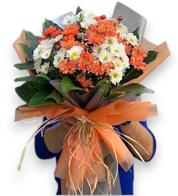 Beyaz Turuncu Papatya