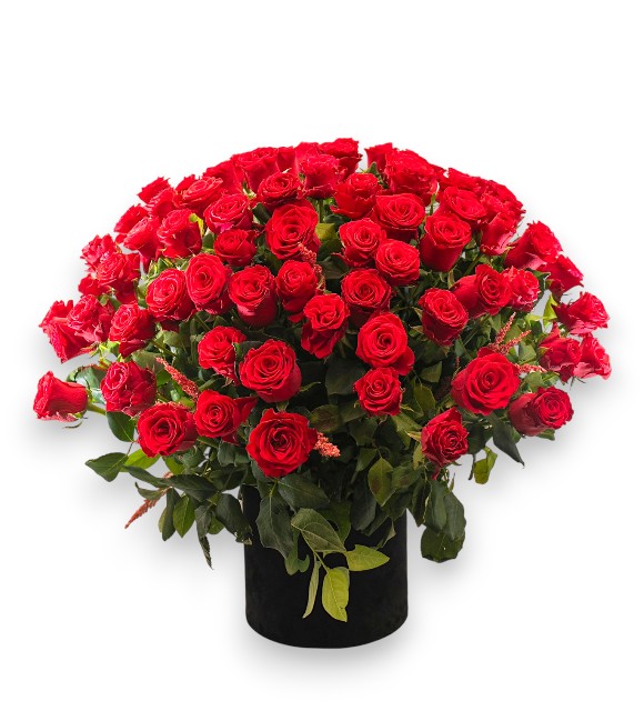 Kutuda 101 Adet Kırmızı Gül