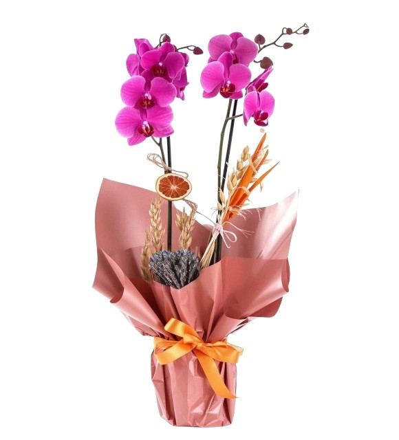 Çift Dal Mor Orkide Somon Buket
