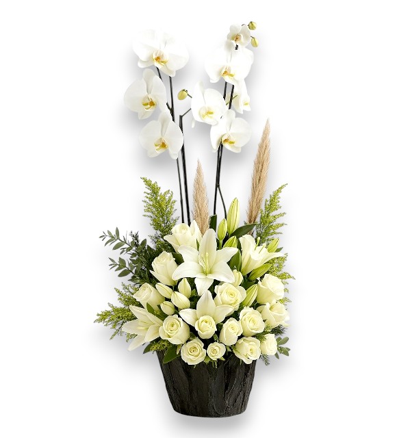 Beyaz Orkide Aranjmanı Bahar Esintisi