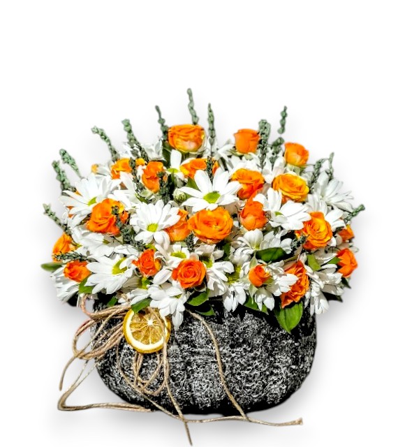 Papatya ve Çardak Güller