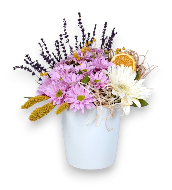 Beyaz Saksıda Pembe Papatya