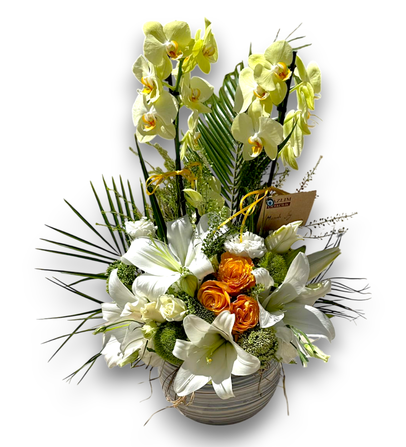 Sarı Orkide Tasarımı